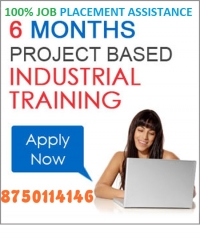 Live Project Training for B.Tech/MCA in Gurgaon