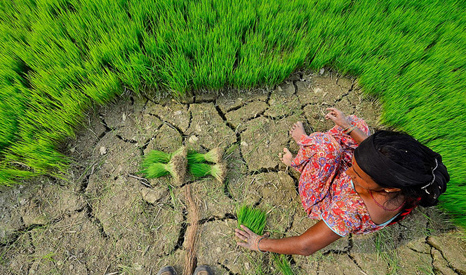 Training Course on Climate Change and Agriculture, Nairobi, Kenya