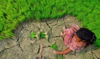 Training Course on Climate Change and Agriculture