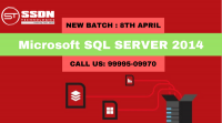 SQL Server Institute in Delhi | SQL Server Trainer in Delhi