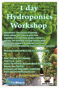 1 Day hydroponics workshop