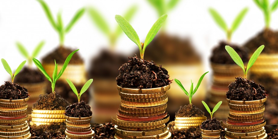 Agro Entrepreneurship & Market Facilitation Course, Nairobi, Kenya