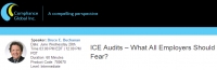 ICE Audits – What All Employers Should Fear?