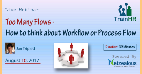 Too Many Flows - How to think about Workflow or Process Flow, Fremont, California, United States
