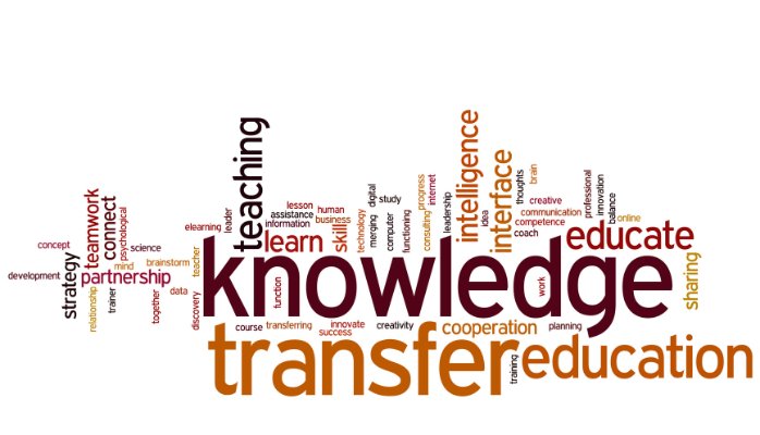 Understanding and Implementing a Technology Transfer Process, New York, United States