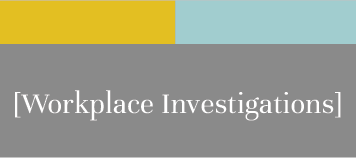 Workplace Investigations - Witnesses Interviews, New York, United States