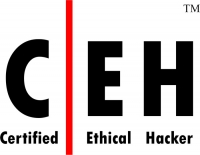 Certified Ethical Hacker v9(CEH) Training in Chennai