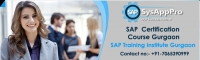 SAP Corporate Training in gurgaon