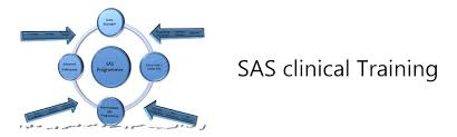 Learn SAS Clinical Online Tutorials For Free, Ranga Reddy, Telangana, India
