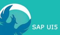 Best Online SAP UI5 Training with Live Project