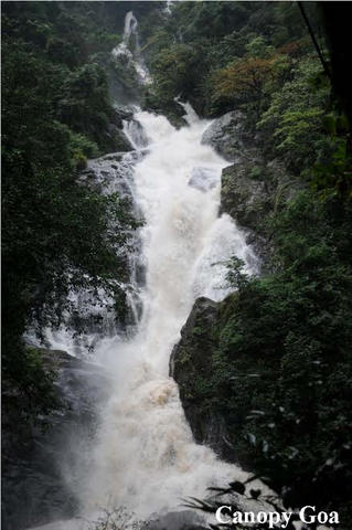Trek to Tambdi Surla Waterfall, South Goa, Goa, India
