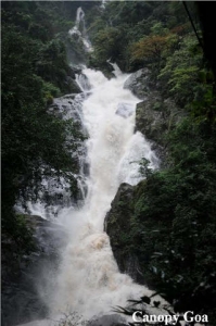 Trek to Tambdi Surla Waterfall