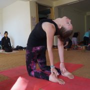 YTT in India at Chinmay Yoga, Dharamshala, Himachal Pradesh, India
