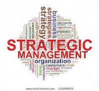 Strategic Financial Management Course