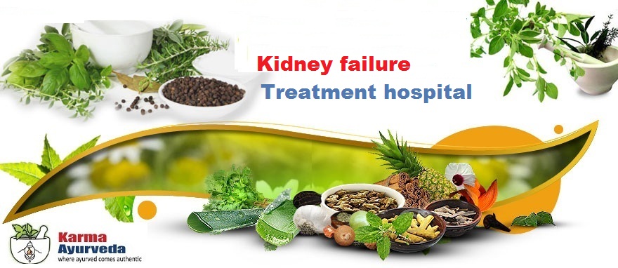 Best Chronic kidney disease treatment in Delhi, New Delhi, Delhi, India