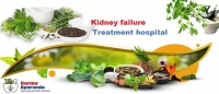 Best Chronic kidney disease treatment in Delhi