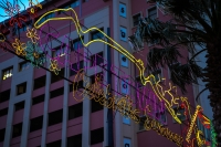 City of Cape Town Festive Lights Switch-On