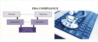 Developing a Strategic Approach to FDA Compliance for Computer System Validation