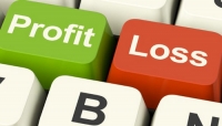 Profit and Loss Statement for Small Business