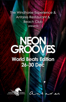 Neon Grooves, Goa, India