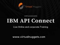 IBM API Connect Online Training