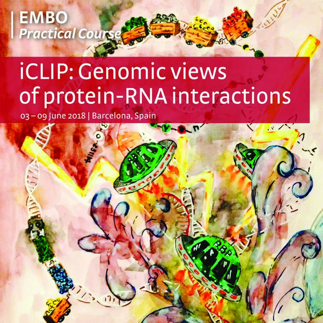 EMBO Practical course: iCLIP: genomic views of protein-RNA interactions, Barcelona, Cataluna, Spain