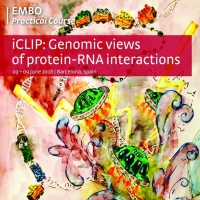 EMBO Practical course: iCLIP: genomic views of protein-RNA interactions