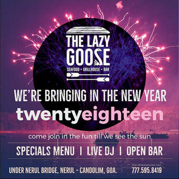 New Year Celebration 2017/18, Goa, India