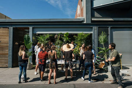 Indoor Plant Warehouse Sale- Jungle Hottest 100, Melbourne, Victoria, Australia