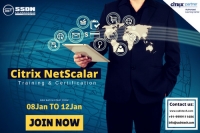 Citrix Netscaler Course | Citrix Netscaler Certification in India