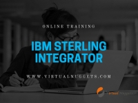 IBM Sterling Integrator Online Training