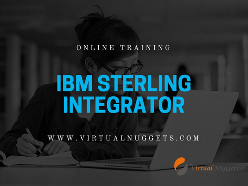 IBM Sterling Integrator Online Training, Southeast, New South Wales, Australia