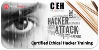 Accelerate Your Career With Certified Ethical Hacker Training