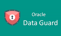 Oracle Data Guard Training for Real Time Experts - Free Demo
