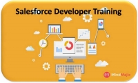Learn Salesforce Developer Training By Experts
