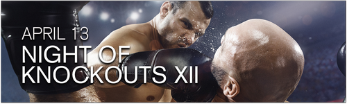 Night of Knockouts XII- Live Professional Boxing, Delta, Michigan, United States