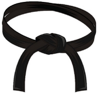 Six sigma master black belt training program