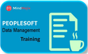 Peoplesoft Data management Training Online Classes by Experts, New York, United States