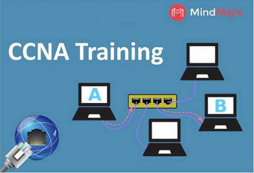 CCNA Training Online Classes by Real-time Experts, New York, United States