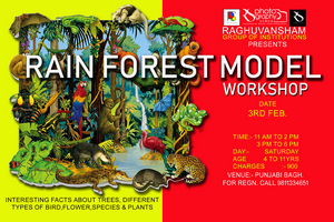 rain forest model workshop, West Delhi, Delhi, India