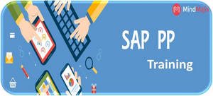 SAP PP Training Online Classes by Experts, New York, United States