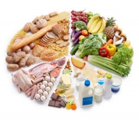 Nutrition and Food Safety Course