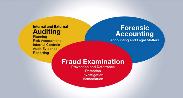 Guidelines for Performing Anti-Fraud Audits in A/P and Procurement, Denver, Colorado, United States