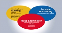 Guidelines for Performing Anti-Fraud Audits in A/P and Procurement
