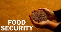 Food Security Analysis Course