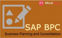 Learn The Ways To Improve Your SAP BPC Skills.