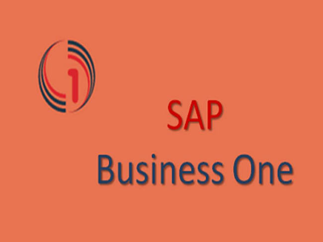 Top SAP Business one Training Program | Enroll Today, Tarpon Springs, Florida, United States