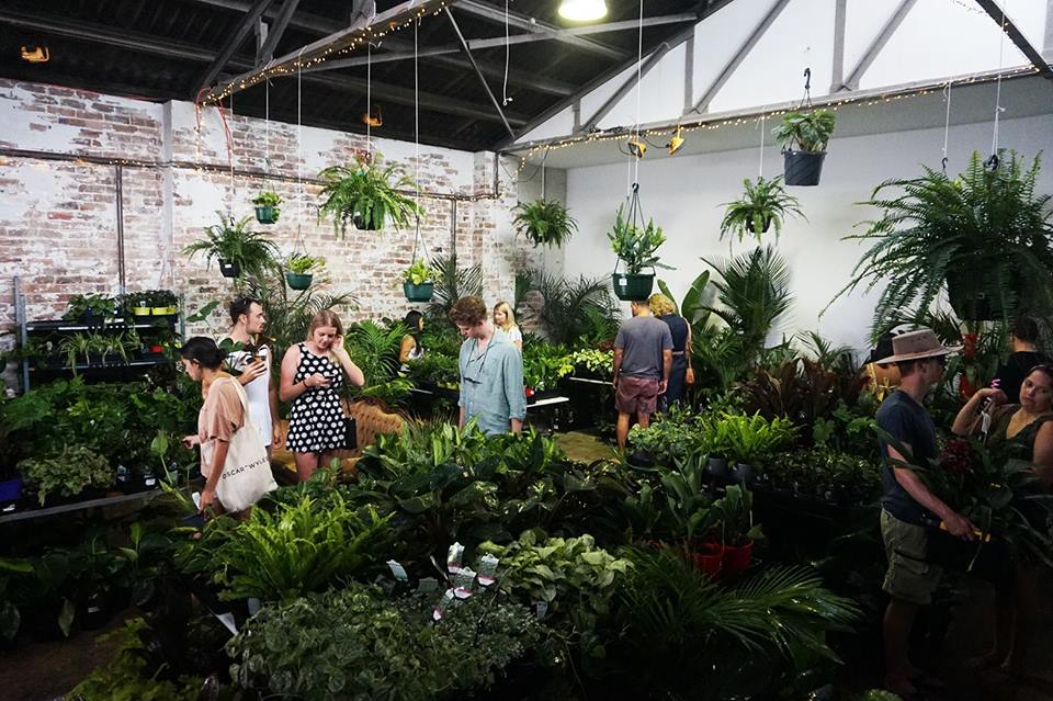 Rumble in the Jungle- Indoor Plant Party- Sydney, Central, New South Wales, Australia