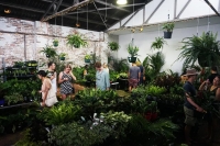 Rumble in the Jungle- Indoor Plant Party- Sydney