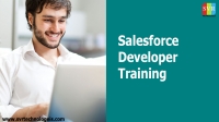 Salesforce Developer Certification Training With Job Assistance